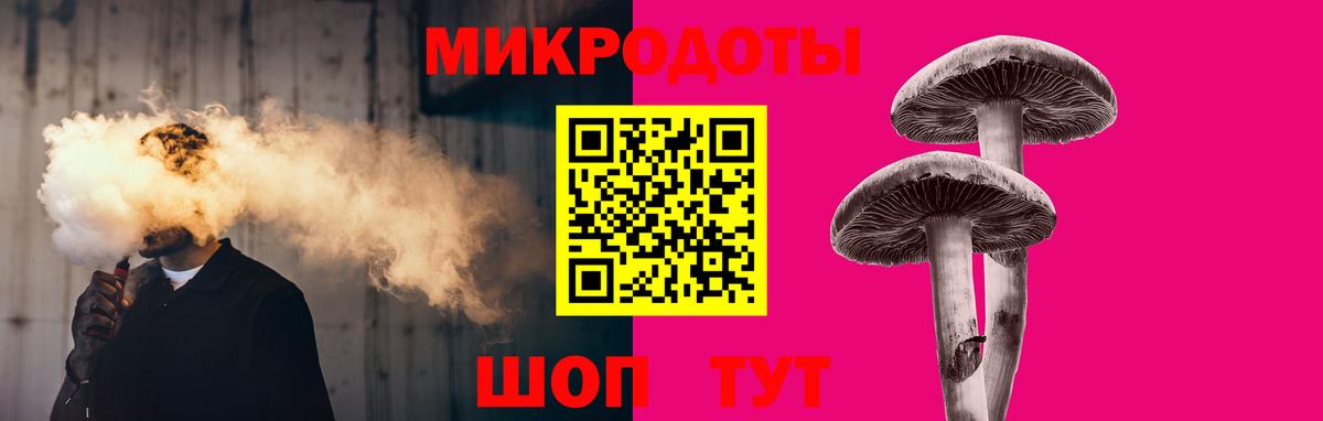 Псилоцибиновые грибы Psilocybe  Вход с VPN  Минеральные Воды 